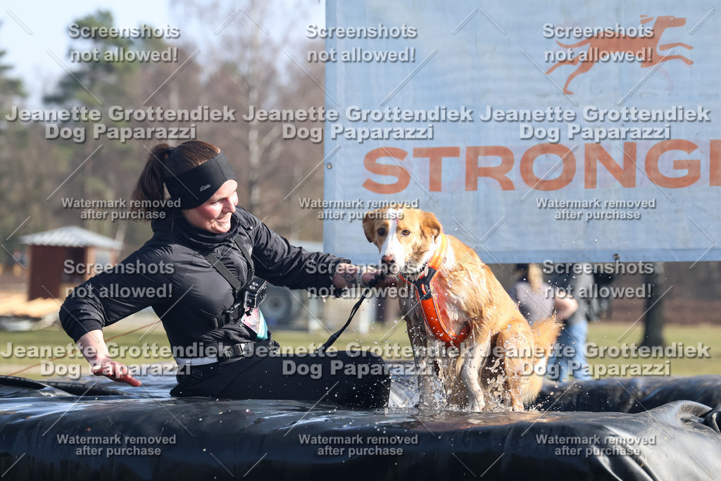 Dog Paparazzi - Strongdog North Mrz26-1494 | Dog Paparazzi Jeanette Grottendiek Fotografie & Videografie - Realisiert mit Pictrs.com