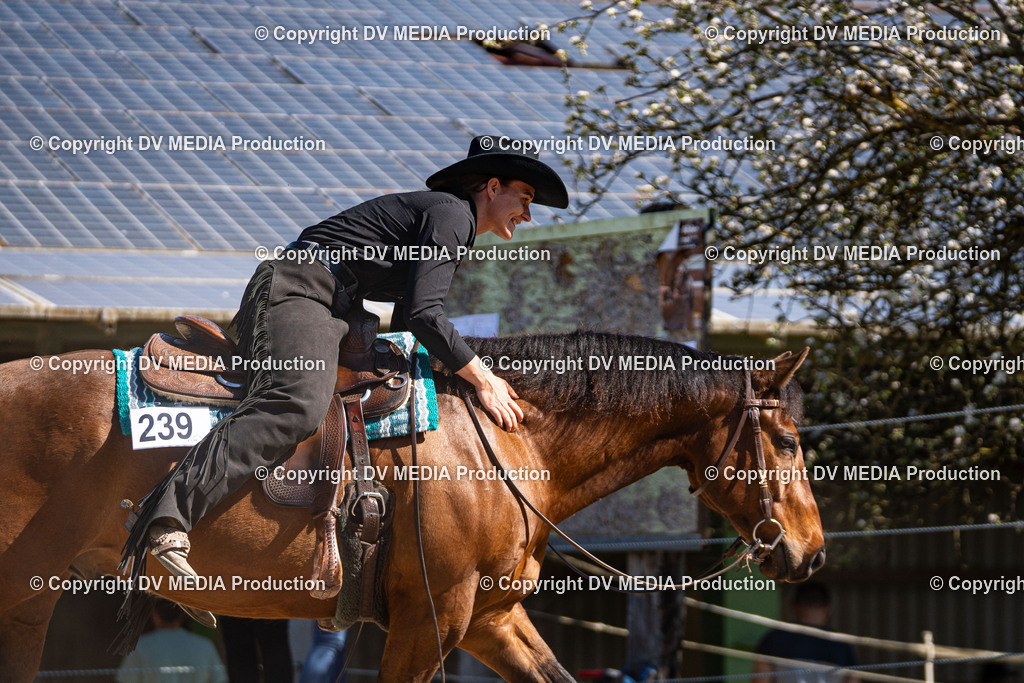 Balingen Tag 1-962 | dv-media-shop - Realisiert mit Pictrs.com