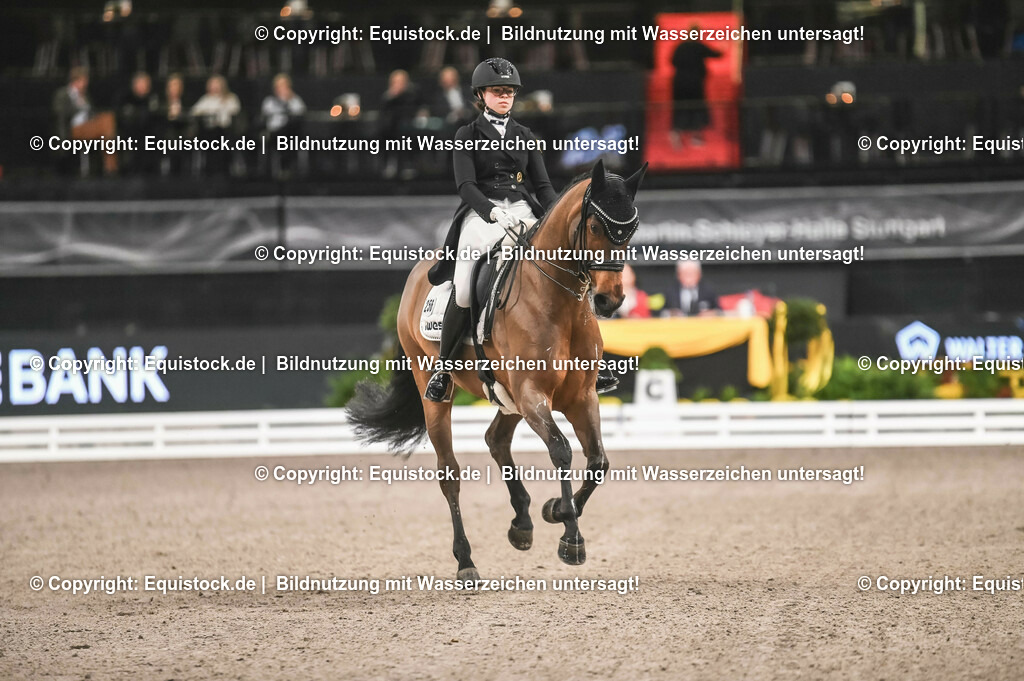 20231115_20_Dressur_Kl-S++_0082_TOMsPiC | Foto: Thomas Hartig