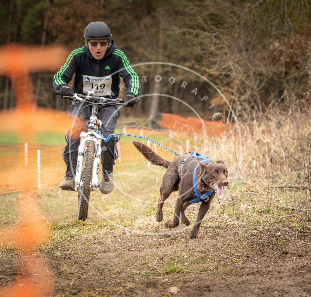 DV3A1030 | Hundefotografie, Tierfotograf, Pfotenfotografie, Fotoshooting Hund, Hunde Portrait, Hundesport, Hundeportraits, Heideshooting, Hunde, Sportfotograf, Hundefotograf, Turnierhundsport, THS,  - Realisiert mit Pictrs.com