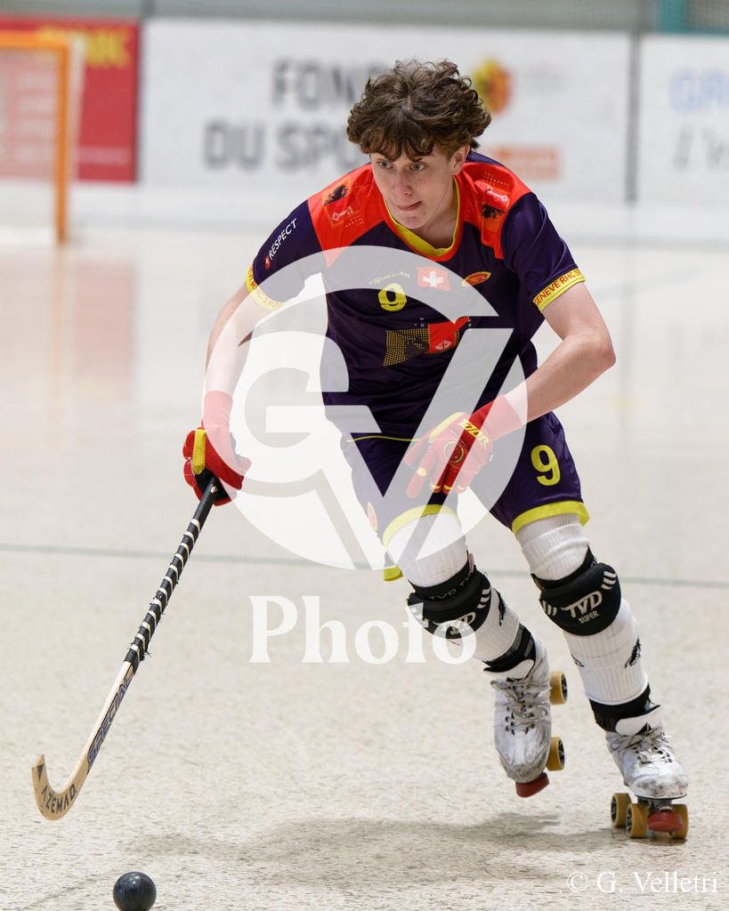 DSC_6018 | Velletri Photo