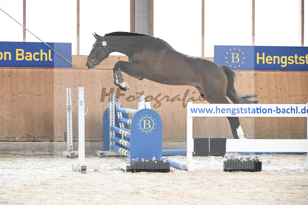 Kat-Nr. 10 Daenero_Feichtner_7240022 | hf-fotografie - Realisiert mit Pictrs.com