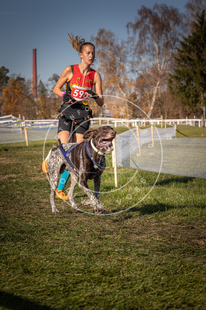 CaniXpix_0L8A8485 | Hundefotografie, Tierfotograf, Pfotenfotografie, Fotoshooting Hund, Hunde Portrait, Hundesport, Hundeportraits, Heideshooting, Hunde, Sportfotograf, Hundefotograf, Turnierhundsport, THS,  - Realisiert mit Pictrs.com