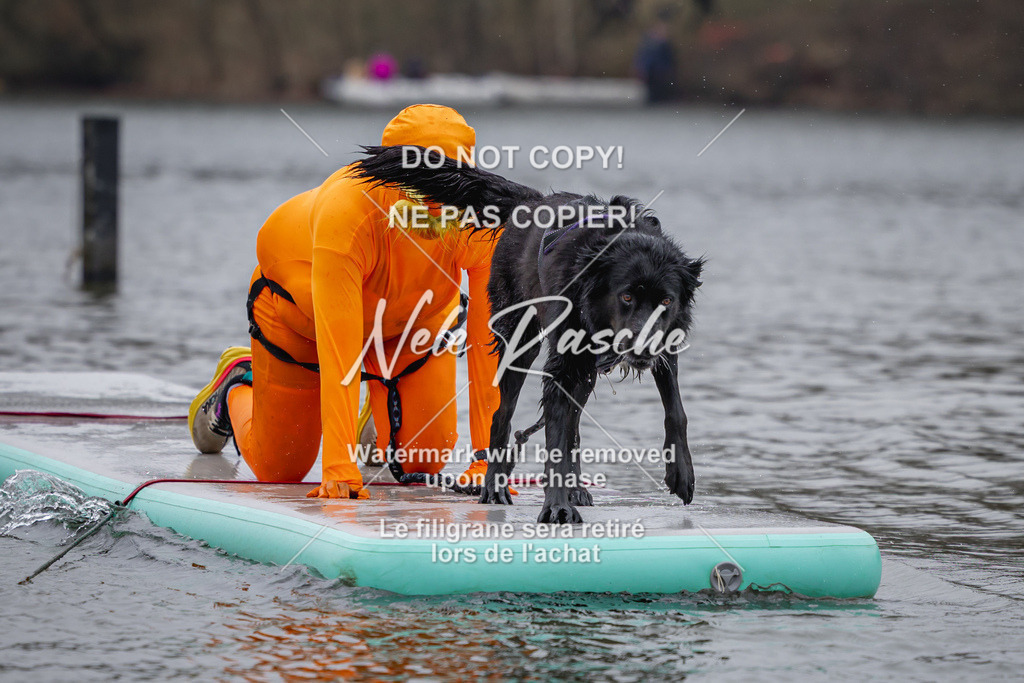 nelerasche_Hulsbeek_Sa1430-1515_245 | nelerasche