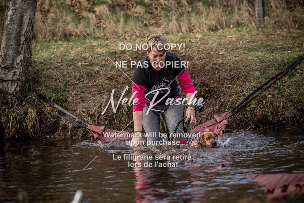 nelerasche_FS1500-1545_35 | nelerasche