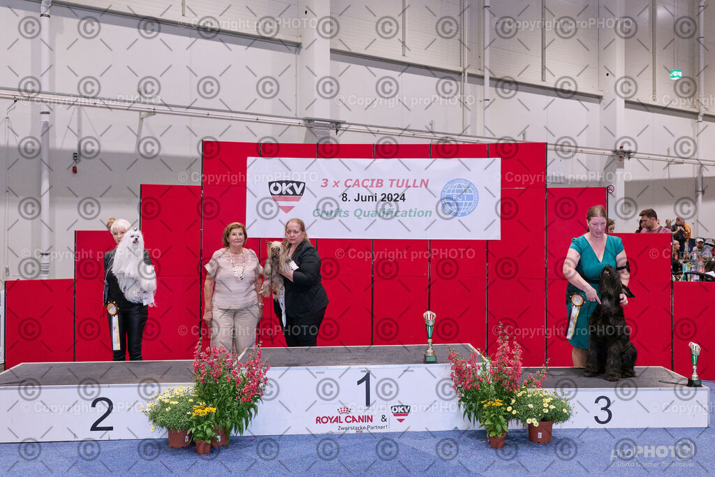 202406_ÖKV-IHA-Tulln24_NZ9_8619 | proPHOTO - Realisiert mit Pictrs.com