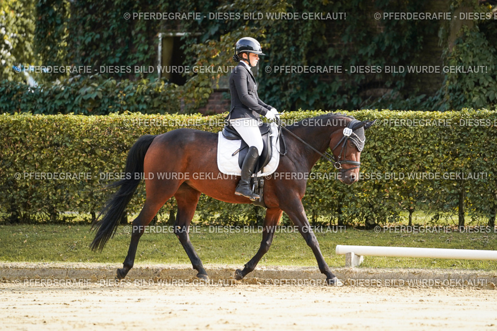 DSC05552 | Pferdegrafie