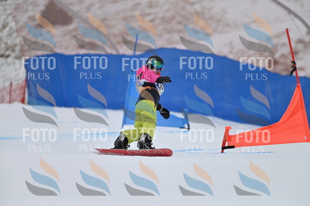 BGV_4865 | holidayphoto