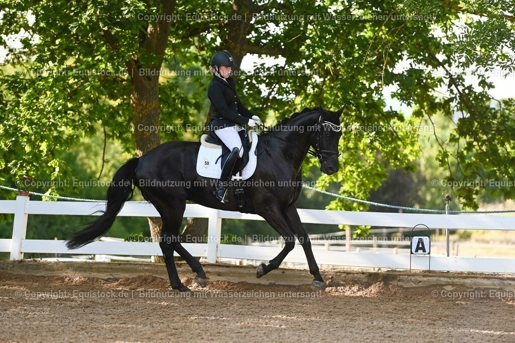 20230715_06_Dressurpferdeprfg. Kl.A_0092 | equistock