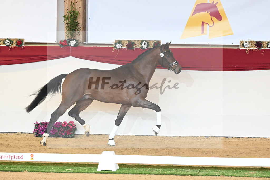 Kat-Nr. 75 Valverde_Schoenland_1230449 | hf-fotografie - Realisiert mit Pictrs.com