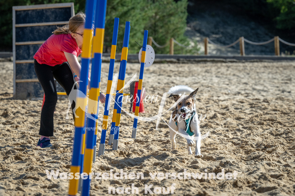 1226_ZZ93067-2 | kk-dogfotos
