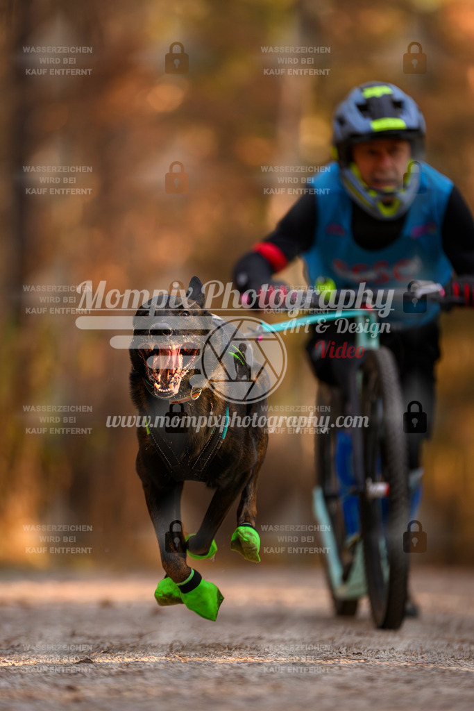 MompixPhotography_DM_AKDM_SO_2025_Scooter-222 | PayLife