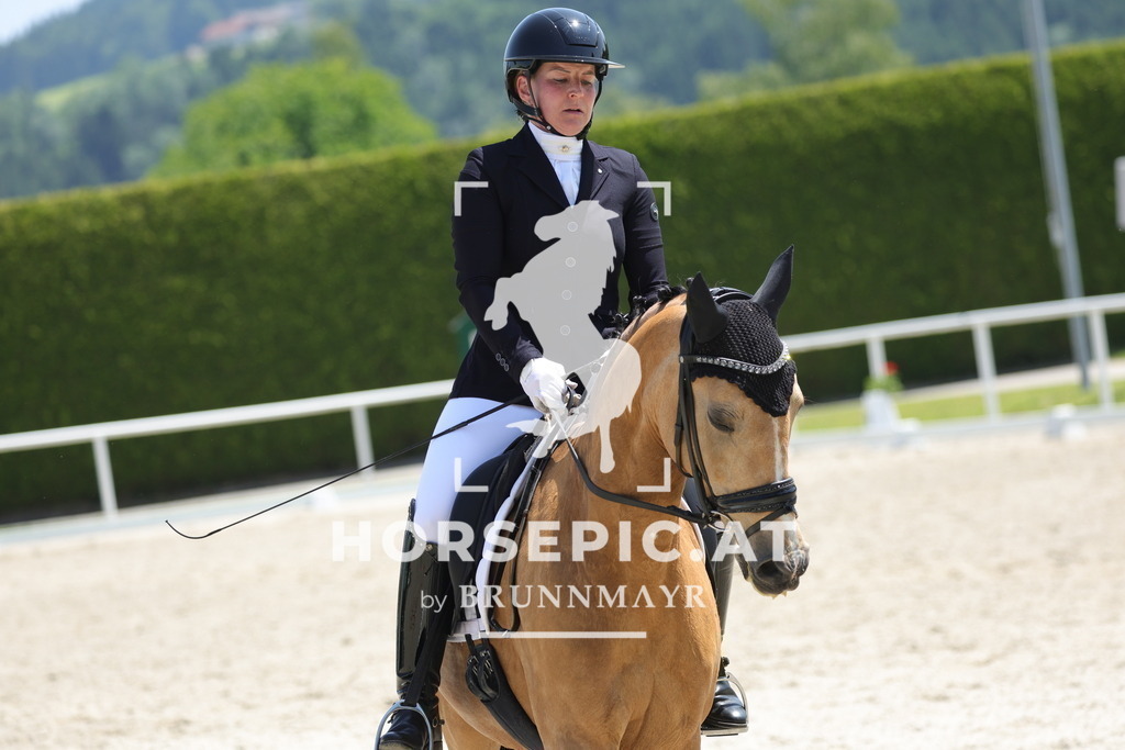 0P6A1657 | Willkommen bei Brunnmayr - Design & Fotografie – Ihrem Spezialisten für Reitturniere und Pferdeveranstaltungen in Oberösterreich, Salzburg und Bayern! Seit über 17 Jahren sind wir leidenschaftlich dabei.