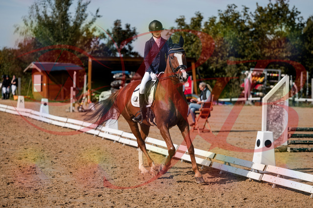 2026_10_03_Siefer-Hof_123711_Z63_55167716 | Professionelle Reitsport-, Turnier- und Eventfotografie von Robert Broda. Galerien mit ausgewählten und bearbeiteten Bildern direkt online ansehen und bestellen.