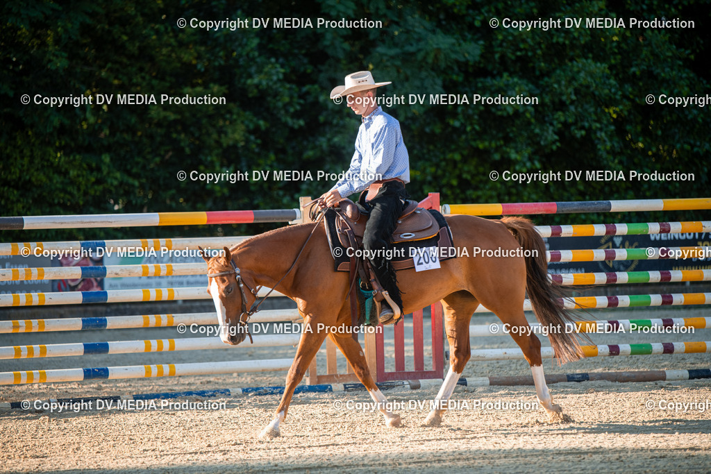 EWP_7162 | dv-media-shop - Realisiert mit Pictrs.com