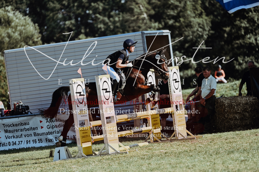 DSC_6652 | Pferde- und Turnierfotografie in Westsachsen. Pferdeportraits, Auftragszeichnungen und intuitive Kunst.