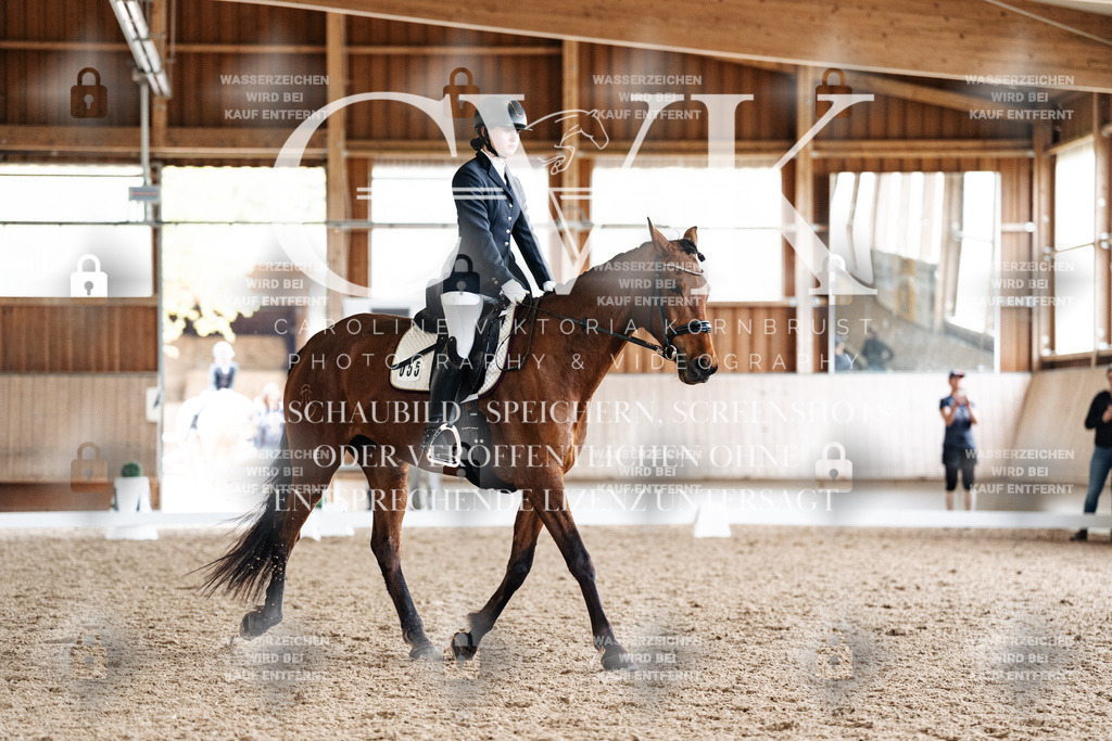 CK900356 | Turnierfotografie Pferdefotografie Trier Rheinland-Pfalz Pferdesport Reitsport Tierfotografie Sportfotografie Pferdevideo Pferdevideografie Equestrianvideography equestrianphotography  - Realisiert mit Pictrs.com