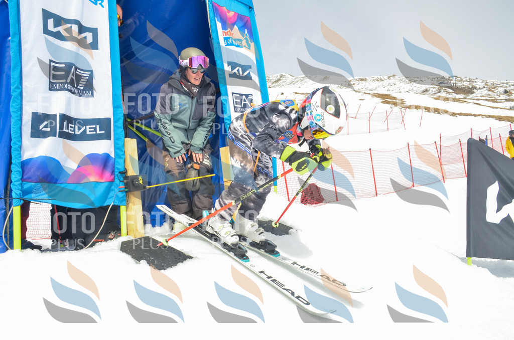 _ELE8134 | holidayphoto