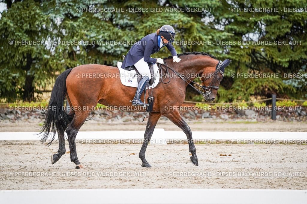 DSC00152 | Pferdegrafie