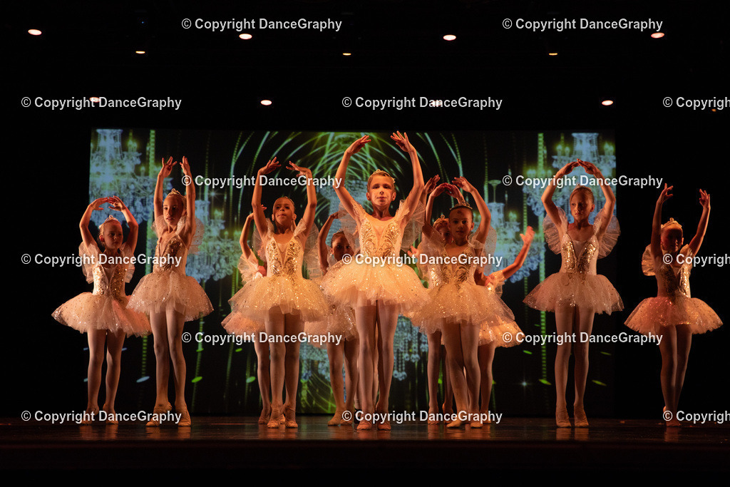 GPHY6584 | DanceGraphy - Realisiert mit Pictrs.com