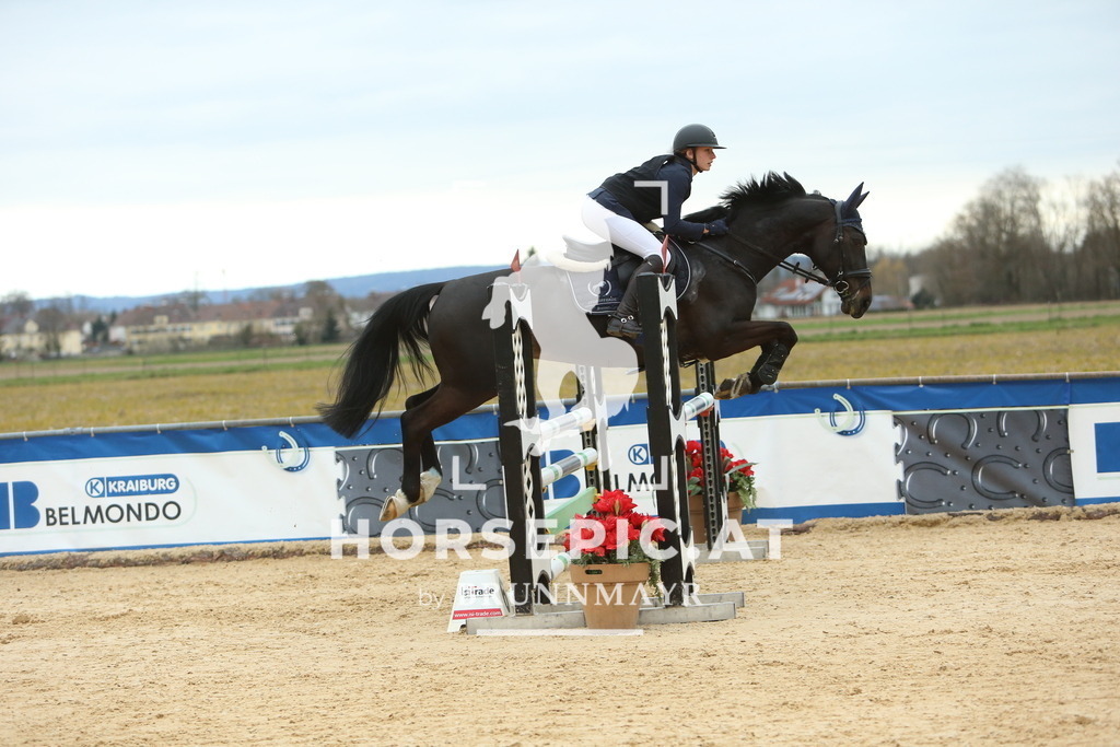 DL2Q2811 | Willkommen bei Brunnmayr - Design & Fotografie – Ihrem Spezialisten für Reitturniere und Pferdeveranstaltungen in Oberösterreich, Salzburg und Bayern! Seit über 17 Jahren sind wir leidenschaftlich dabei.