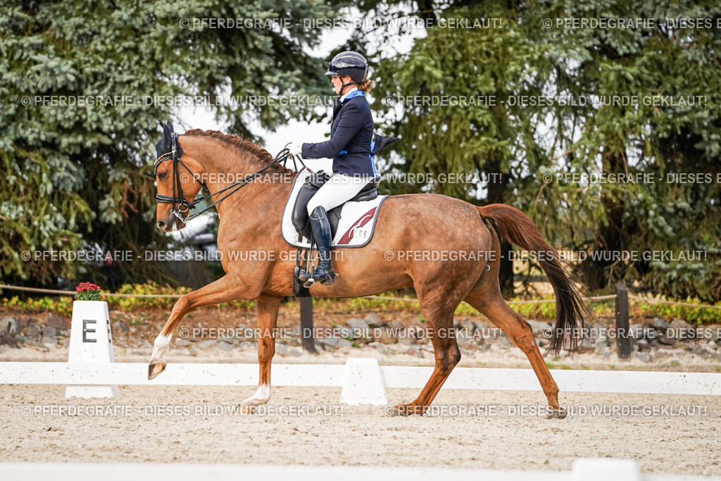 DSC08847 | Pferdegrafie