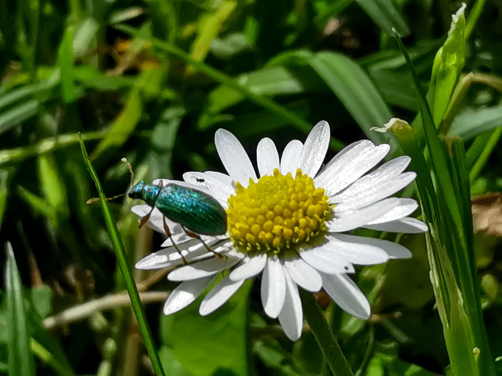 PSX_20240517_222107 | mtkfoto_ - Realisiert mit Pictrs.com