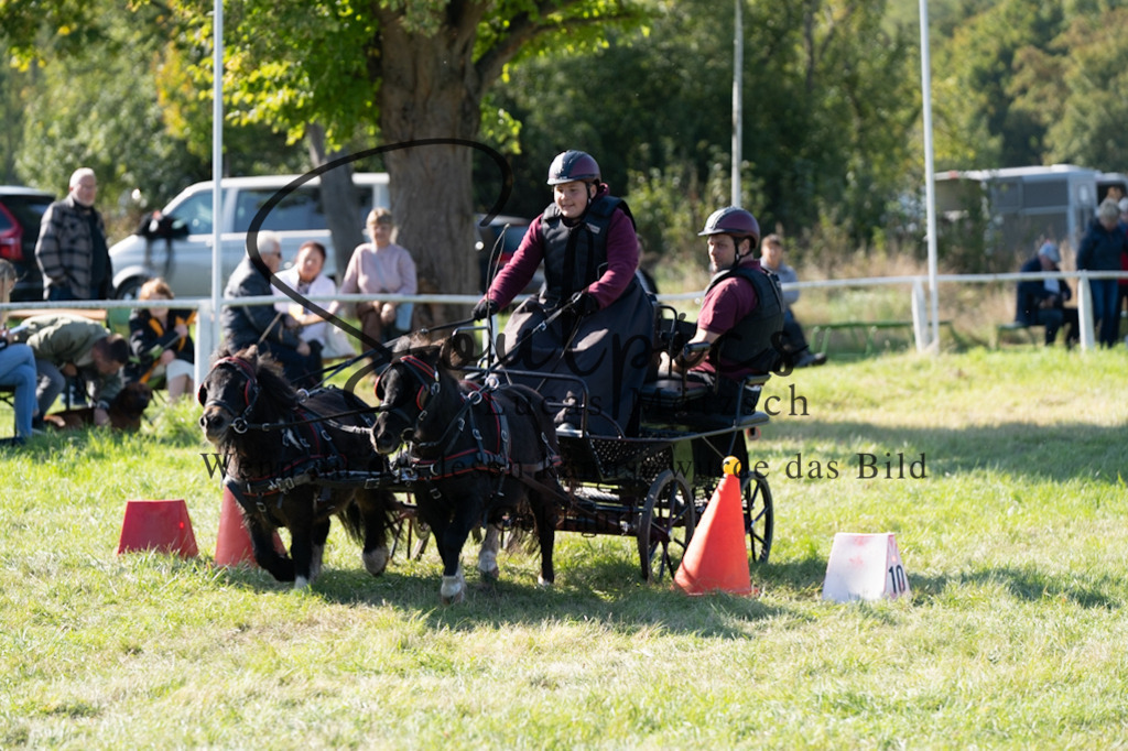 A7V04413 | Pferdefotograf