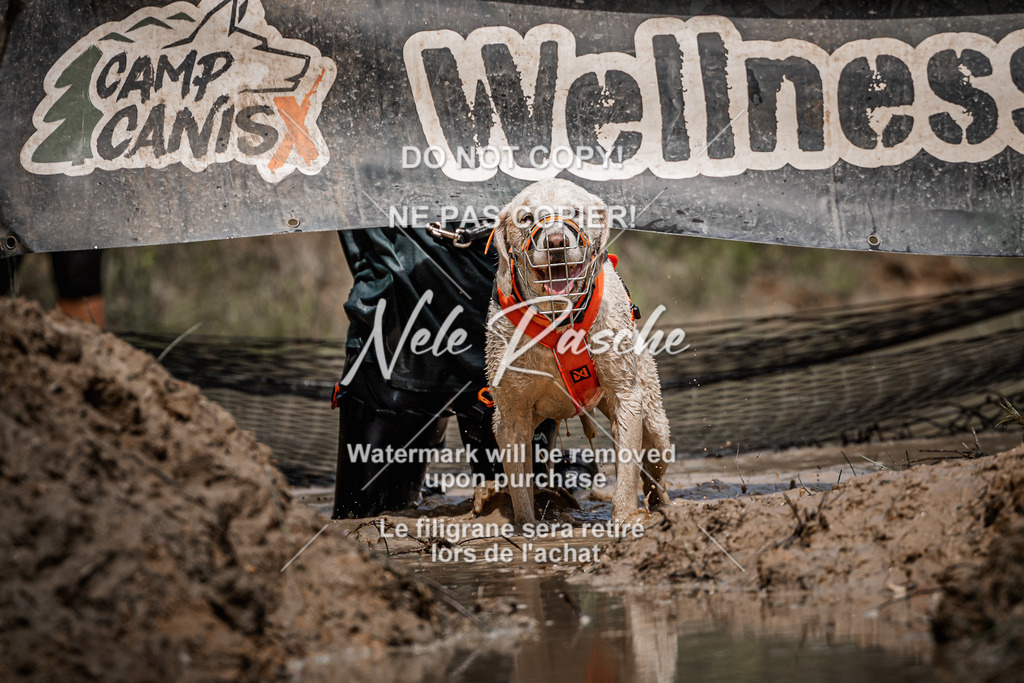 nelerasche_Hoope2026_Sa1230-1300_263 | nelerasche