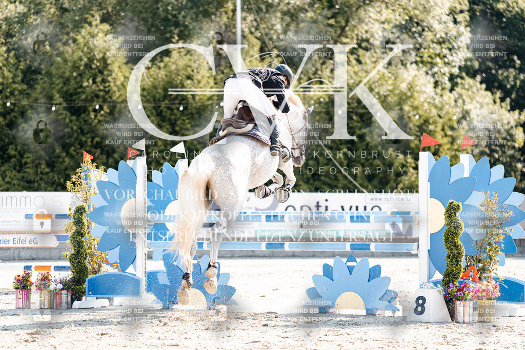 CK901978 | Turnierfotografie Pferdefotografie Trier Rheinland-Pfalz Pferdesport Reitsport Tierfotografie Sportfotografie Pferdevideo Pferdevideografie Equestrianvideography equestrianphotography  - Realisiert mit Pictrs.com