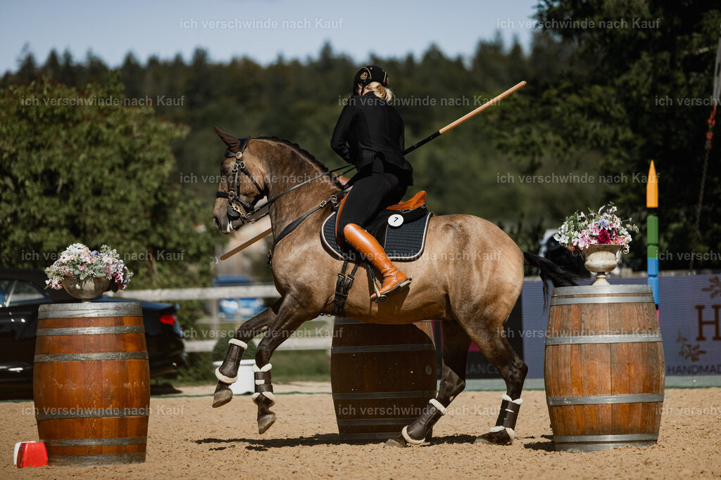 Katja7_FHC2025-27487 | working equitationturnier fotograf videograf stoibphotography marixx film working equitation deutschland reitsport turnierfotografie eventfotografie equestrian events
