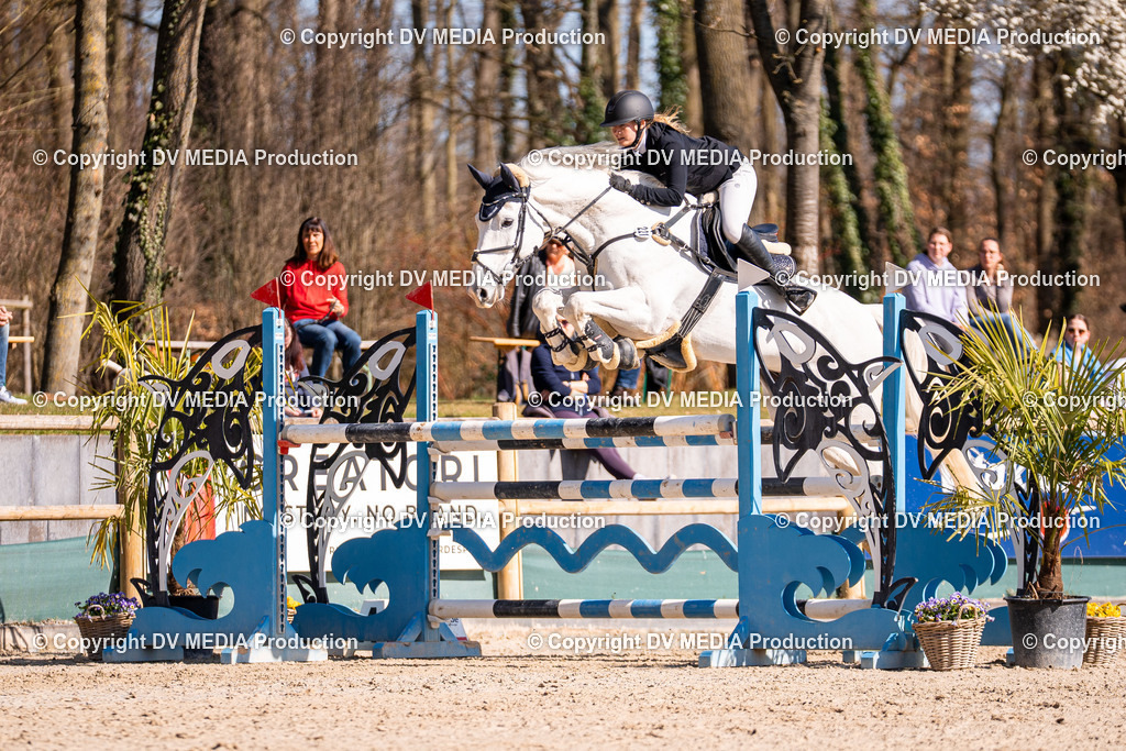 Kranichstein Tag 2-785 | dv-media-shop - Realisiert mit Pictrs.com