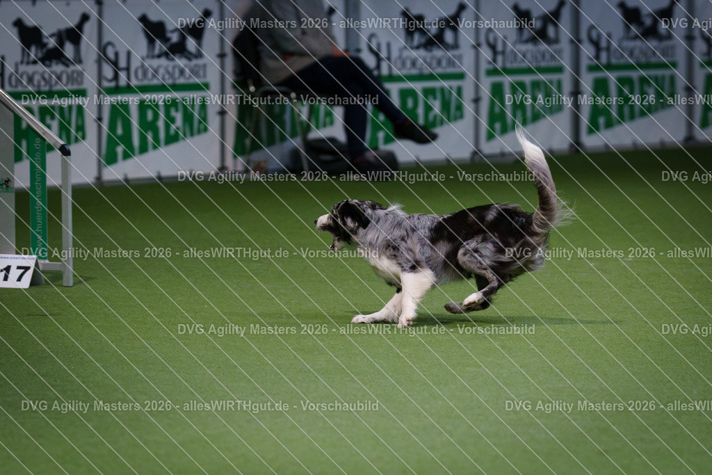allesWIRTHgut_Tierfotografie-DVG_Agility_Masters_2026-11_14-7R501388 | Professionelle Tierfotografie in Mönchengladbach von Daniel Wirth (allesWIRTHgut). Liebevolle & natürliche Bilder von Hunden & Katzen für unvergessliche Erinnerungen.