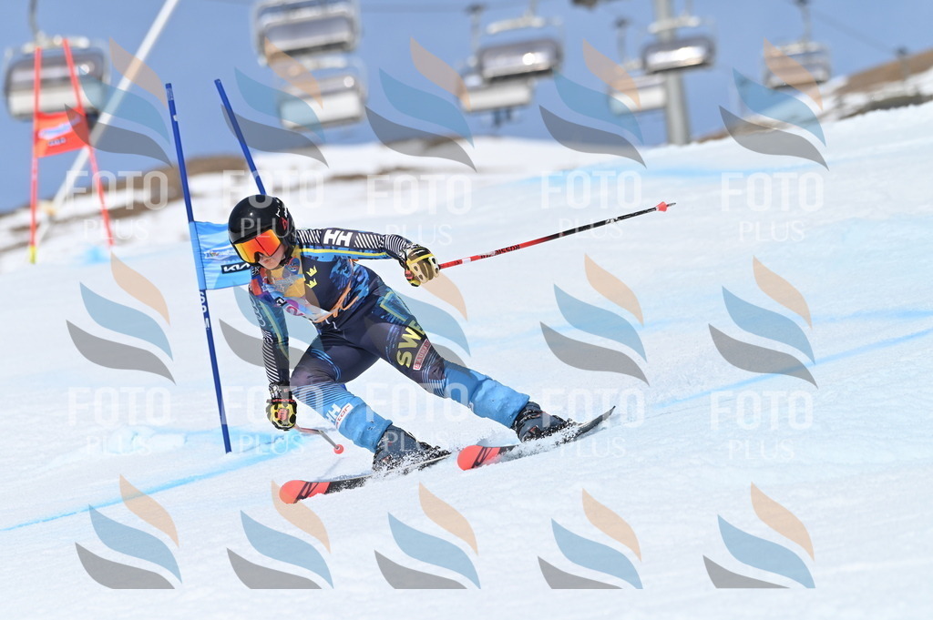 BGV_3122 | holidayphoto