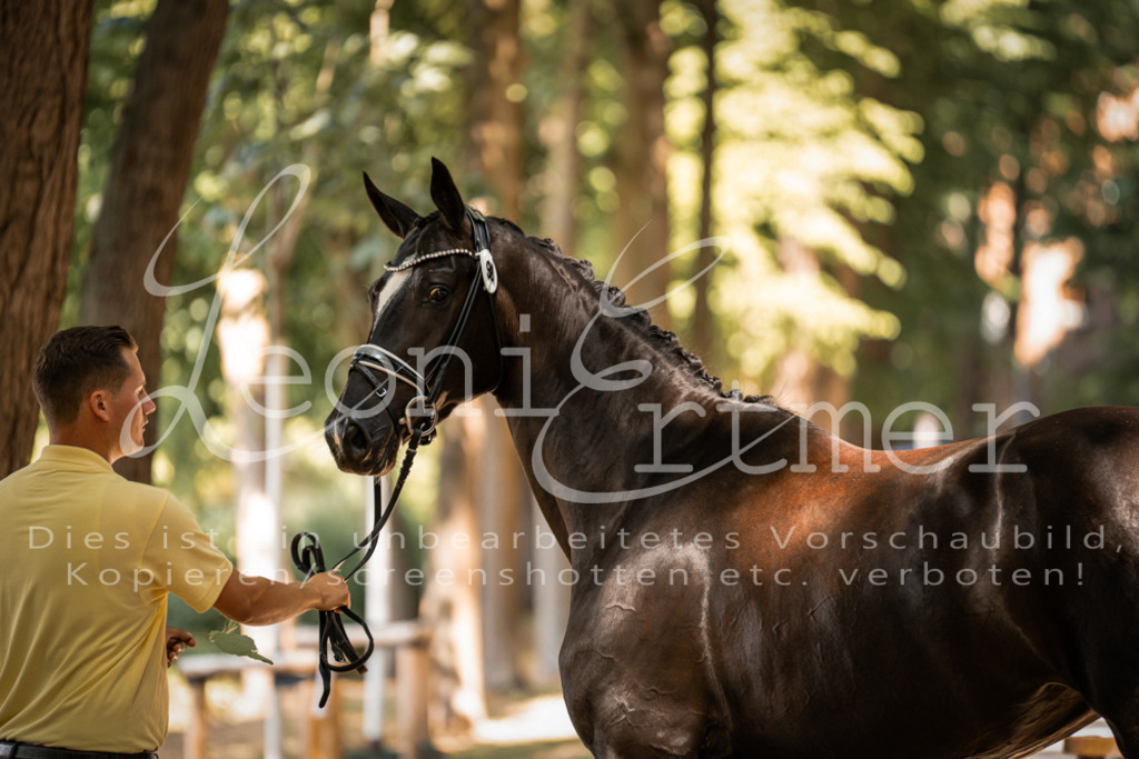 FrPfM00232 | Leoni Ertmer Photography - Realisiert mit Pictrs.com