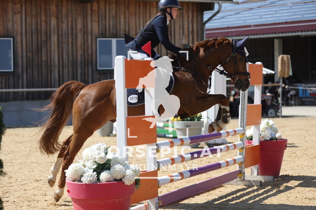 0P6A9732 | Willkommen bei Brunnmayr - Design & Fotografie – Ihrem Spezialisten für Reitturniere und Pferdeveranstaltungen in Oberösterreich, Salzburg und Bayern! Seit über 17 Jahren sind wir leidenschaftlich dabei.