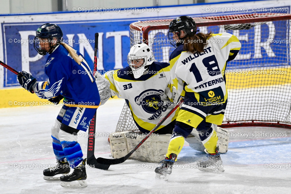 LADY HAWKS vs. WILDCATS PATERNION | #11 Zechner Annika LADY HAWKS, #33 Oberauner Marianne Wildcats Paternion, #18 Brunner Tatjana WILDCATS PATERNION, LADY HAWKS vs. WILDCATS PATERNION, LADY HAWKS vs. WILDCATS PATERNION am 12.03.2025 in Steindorf (Ossiachersee Halle), Austria, (Photo by Bernd Stefan)