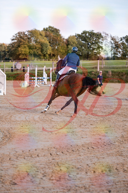 2026_10_03_Siefer-Hof_170400_Z81_00817220 | Professionelle Reitsport-, Turnier- und Eventfotografie von Robert Broda. Galerien mit ausgewählten und bearbeiteten Bildern direkt online ansehen und bestellen.