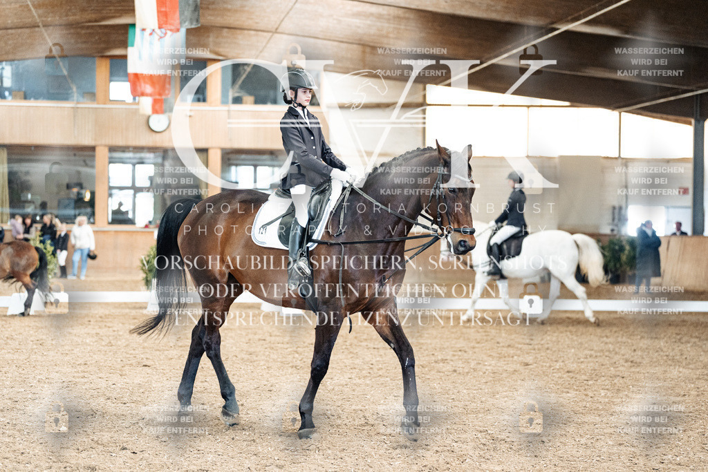 CK900609 | Turnierfotografie Pferdefotografie Trier Rheinland-Pfalz Pferdesport Reitsport Tierfotografie Sportfotografie Pferdevideo Pferdevideografie Equestrianvideography equestrianphotography  - Realized with Pictrs.com