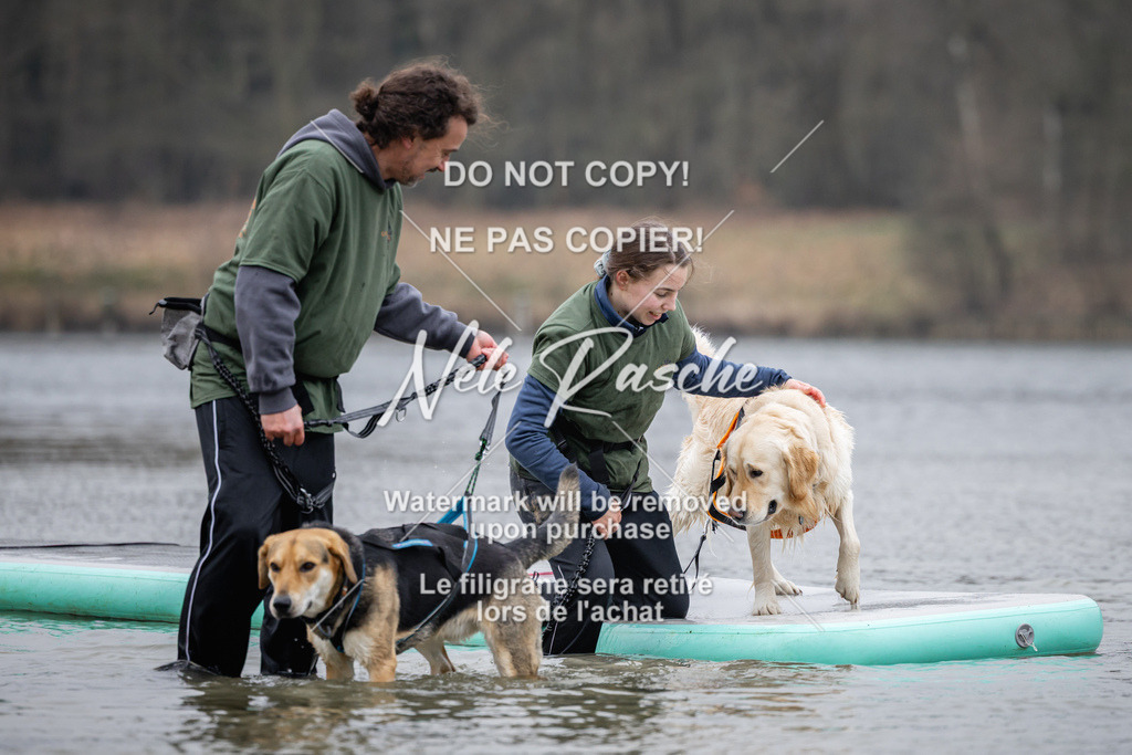 nelerasche_Hulsbeek_Sa1515-1600_610 | nelerasche