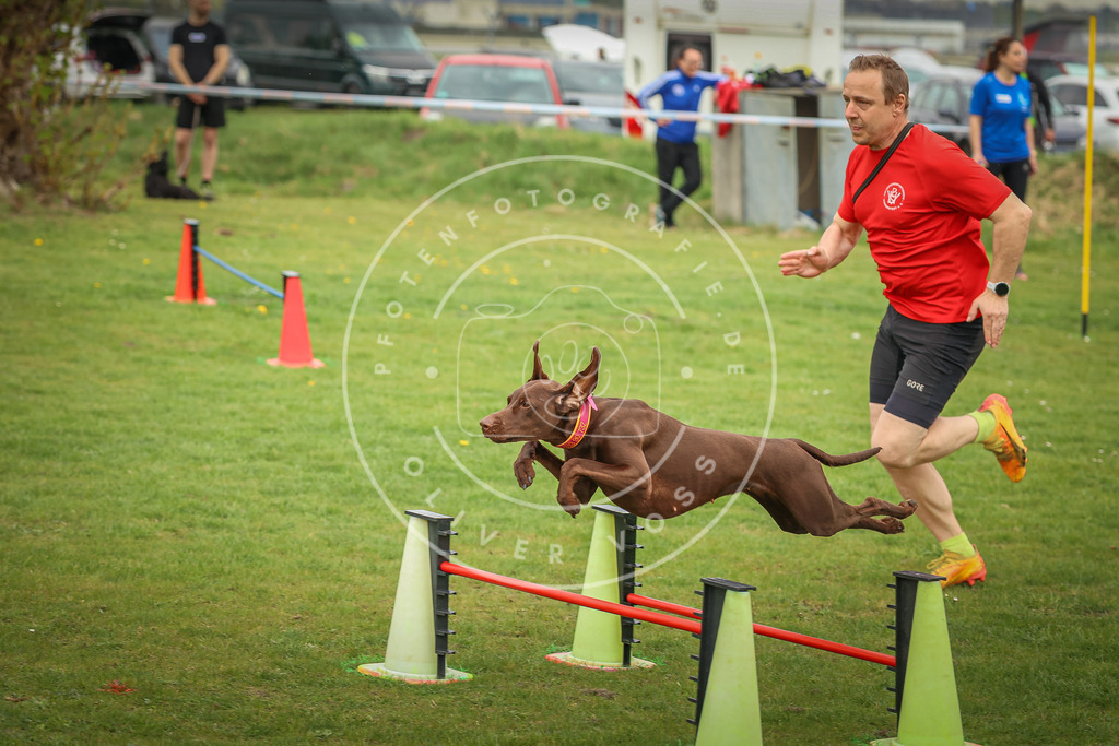 Pfotenfotografie_0L8A1143 | Hundefotografie, Tierfotograf, Pfotenfotografie, Fotoshooting Hund, Hunde Portrait, Hundesport, Hundeportraits, Heideshooting, Hunde, Sportfotograf, Hundefotograf, Turnierhundsport, THS,  - Realisiert mit Pictrs.com