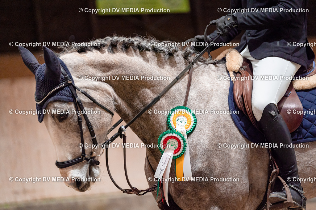 Springen Tag 1-054 | dv-media-shop - Realisiert mit Pictrs.com