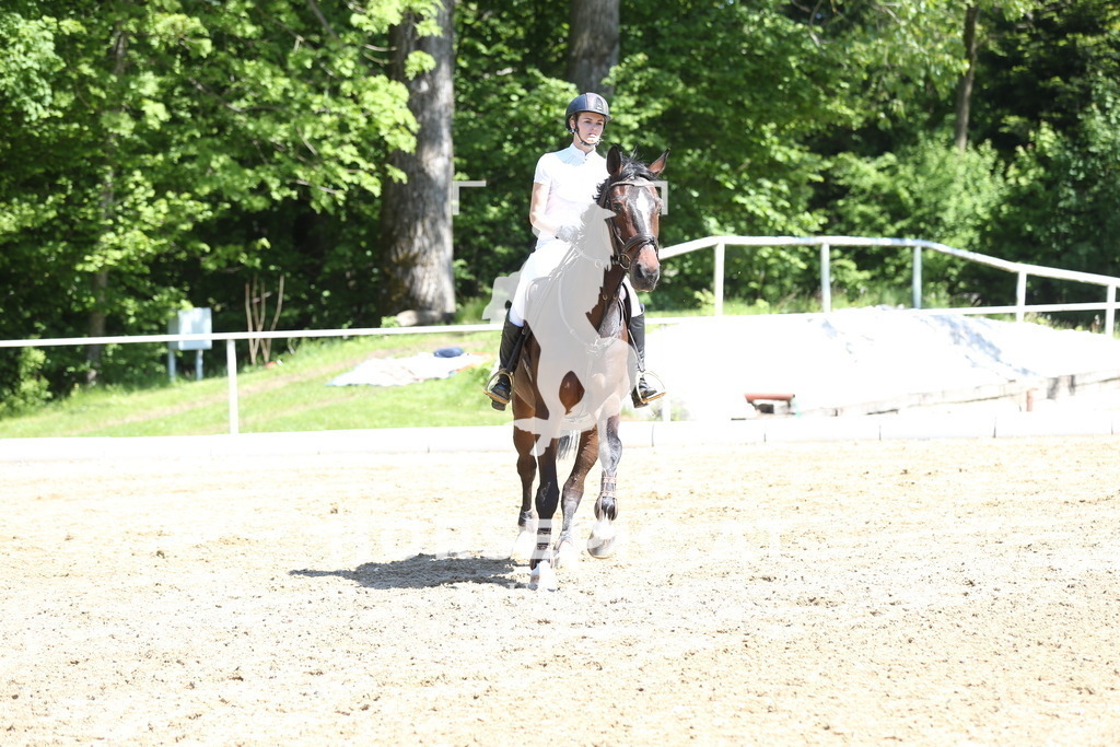 DL2Q1974 | Willkommen bei Brunnmayr - Design & Fotografie – Ihrem Spezialisten für Reitturniere und Pferdeveranstaltungen in Oberösterreich, Salzburg und Bayern! Seit über 17 Jahren sind wir leidenschaftlich dabei.