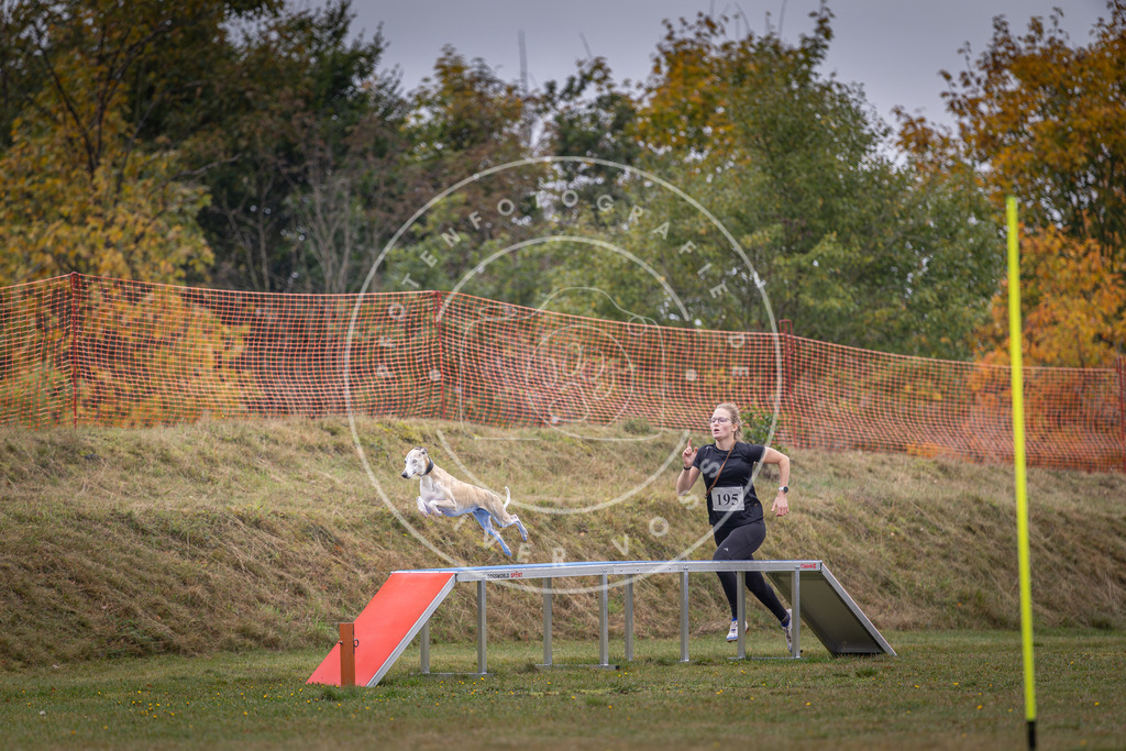 Pfotenfotografie_DV3A1352 | Hundefotografie, Tierfotograf, Pfotenfotografie, Fotoshooting Hund, Hunde Portrait, Hundesport, Hundeportraits, Heideshooting, Hunde, Sportfotograf, Hundefotograf, Turnierhundsport, THS,  - Realisiert mit Pictrs.com