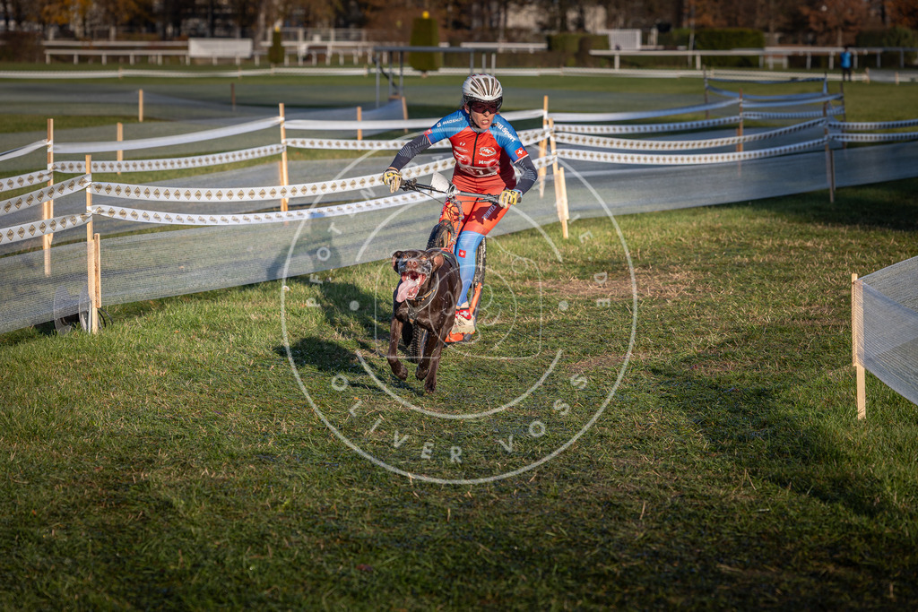 CaniXpix_0L8A3693 | Hundefotografie, Tierfotograf, Pfotenfotografie, Fotoshooting Hund, Hunde Portrait, Hundesport, Hundeportraits, Heideshooting, Hunde, Sportfotograf, Hundefotograf, Turnierhundsport, THS,  - Realisiert mit Pictrs.com