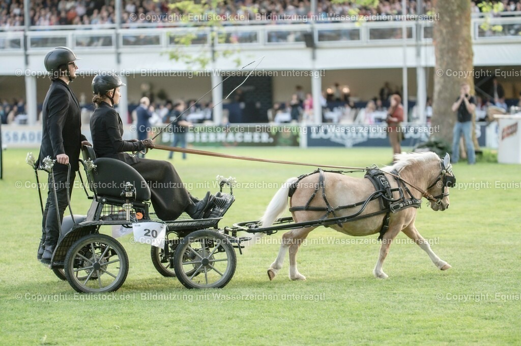 20230526_Pferdenacht_0134 | equistock