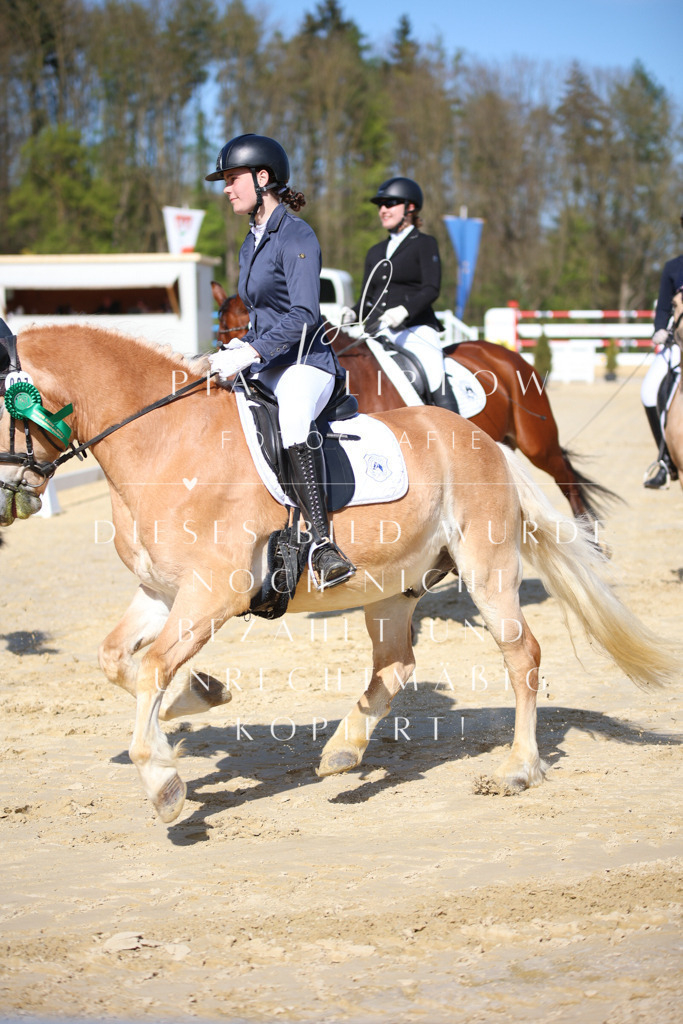 IMGT2436 | pl-fotografie