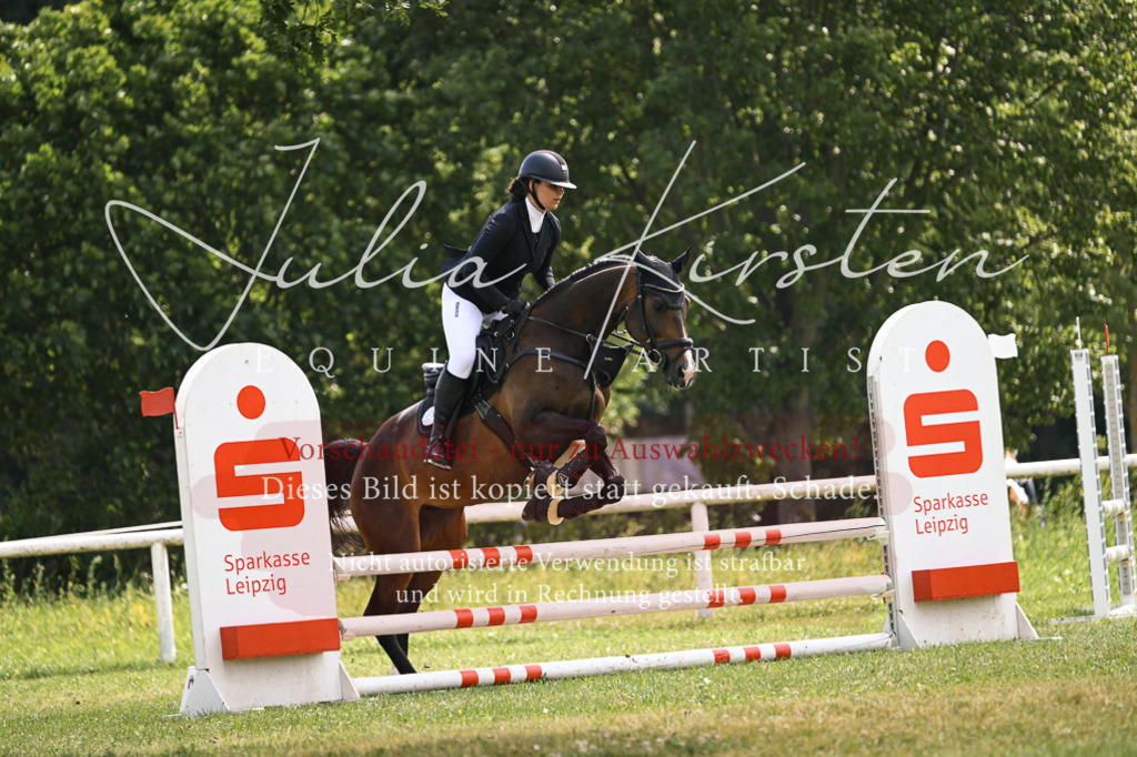 DSC_9090 | Pferde- und Turnierfotografie in Westsachsen. Pferdeportraits, Auftragszeichnungen und intuitive Kunst.