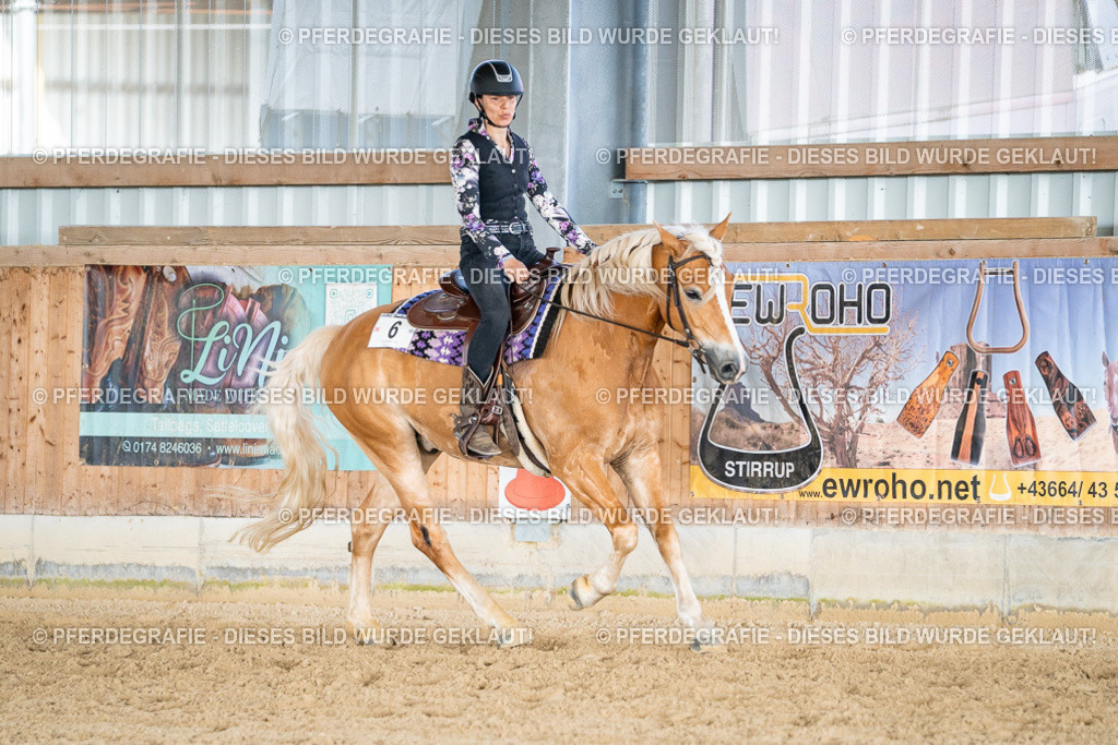 DSC09135 | Pferdegrafie