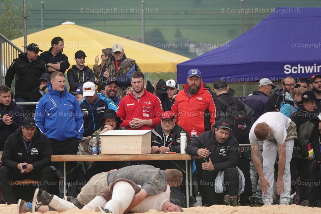 DSC03915 | Schwingen - Realisiert mit Pictrs.com